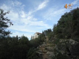 DSC01683