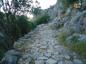 DSC02782
